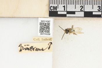 Media type: image;   Entomology 774108 Aspect: Labels